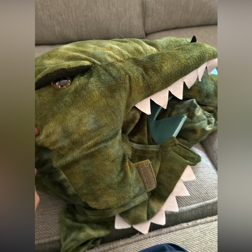 Pottery Barn Kids Green TRex Dinosaur Costume - Picture 2 of 7